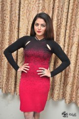 Wamiqa Gabbi at Bhale Manchi Roju Movie Press Meet
